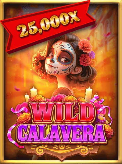 Crash multiplier game cover